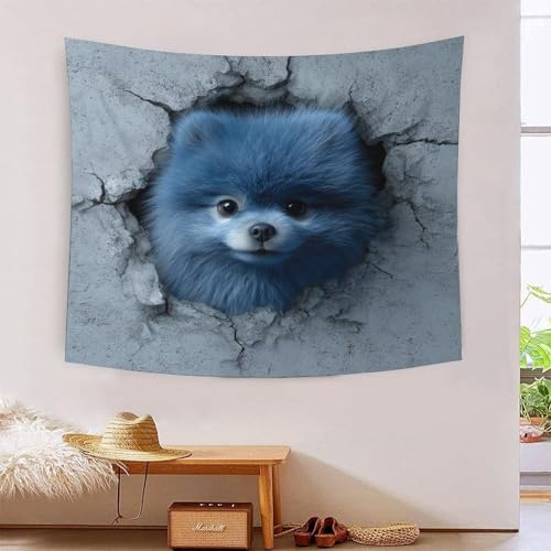 MJFCoin 3D Druck Pomeranian Wandteppiche Poster Ornament Wandbehang Wandteppich Raumteiler Vorhang Für Schlafzimmer Wohnzimmer Wohnkultur Tapisseries 70cmx100cm MJFCoin 3D Druck Pomeranian Wandteppiche Poster Ornament Wandbehang Wandteppich Raumteiler Vorhang Für Schlafzimmer Wohnzimmer Wohnkultur Tapisseries 70cmx100cm von MJFCoin