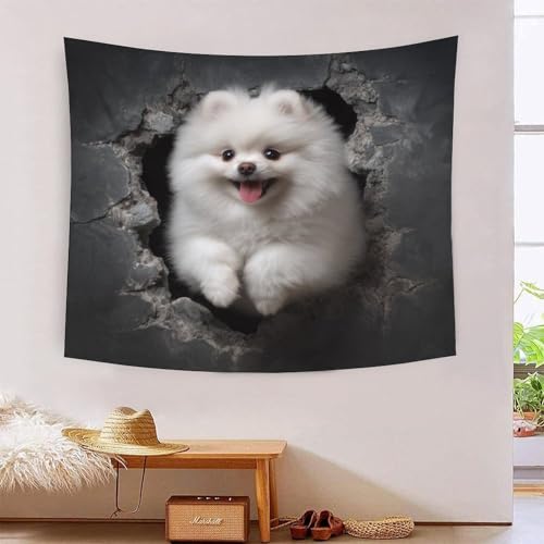 MJFCoin 3D Druck Pomeranian Wandteppiche Poster Ornament Wandbehang Wandteppich Raumteiler Vorhang Für Wohnzimmer Schlafzimmer Wohnheim Dekor Tapisserie 180cmx230cm MJFCoin 3D Druck Pomeranian Wandteppiche Poster Ornament Wandbehang Wandteppich Raumteiler Vorhang Für Wohnzimmer Schlafzimmer Wohnheim Dekor Tapisserie 180cmx230cm von MJFCoin