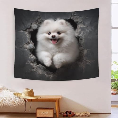 MJFCoin 3D Druck Pomeranian Wandteppiche Poster Ornament Wandbehang Wandteppich Wanddeko Wandbehang Für Schlafzimmer Wohnzimmer Wohnkultur Tapisserie 150cmx200cm MJFCoin 3D Druck Pomeranian Wandteppiche Poster Ornament Wandbehang Wandteppich Wanddeko Wandbehang Für Schlafzimmer Wohnzimmer Wohnkultur Tapisserie 150cmx200cm von MJFCoin