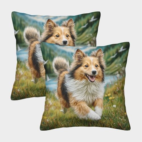 MJFCoin Cute Dog Kissenbezüge Für Sofa Und Bett, Kissenbezug Im 2er-Set Geeignet Für Kids Room Fun Und Travel Essential, Maschinenwaschbar 50x50cm MJFCoin Cute Dog Kissenbezüge Für Sofa Und Bett, Kissenbezug Im 2er-Set Geeignet Für Kids Room Fun Und Travel Essential, Maschinenwaschbar 50x50cm von MJFCoin