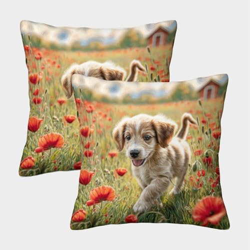MJFCoin Cute Dog Kuschelige Kissenbezug 2er Set Für Kinder - Für Sofa Mit Niedlichen Designs, Perfekt Für Kinderzimmer Waschmaschinenfest 45x45cm MJFCoin Cute Dog Kuschelige Kissenbezug 2er Set Für Kinder - Für Sofa Mit Niedlichen Designs, Perfekt Für Kinderzimmer Waschmaschinenfest 45x45cm von MJFCoin