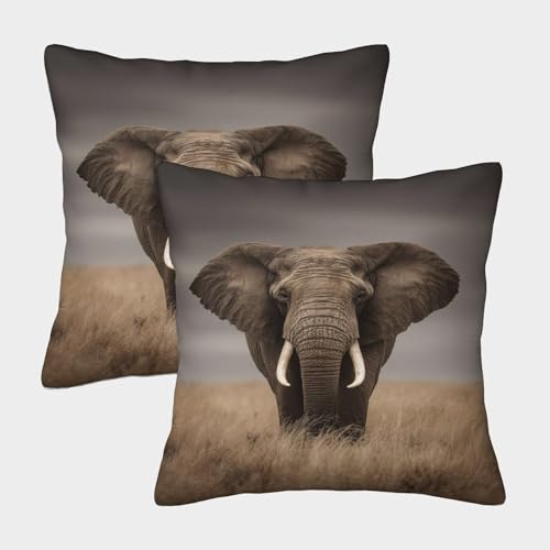 MJFCoin Elefant Kissenbezüge Für Sofa Und Bett, Jumbo Kissenbezug Im 2er-Set Geeignet Für Kids Room Fun Und Travel Essential, Maschinenwaschbar 45x45cm MJFCoin Elefant Kissenbezüge Für Sofa Und Bett, Jumbo Kissenbezug Im 2er-Set Geeignet Für Kids Room Fun Und Travel Essential, Maschinenwaschbar 45x45cm von MJFCoin