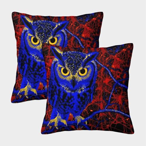 MJFCoin Eule Kissenbezüge Für Sofa Und Bett, Raptor Kissenbezug Im 2er-Set Geeignet Für Kids Room Fun Und Travel Essential, Maschinenwaschbar 50x50cm von MJFCoin