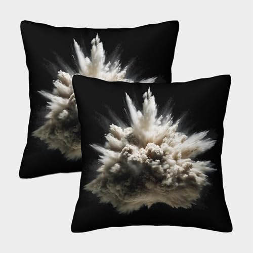 MJFCoin Explodieren Quadratische süß Kissenbezüge, 2er Pack, Optimal Für Bedroom Comfort Und Outdoor Leisure, Leicht Zu Reinigen 40x40cm von MJFCoin