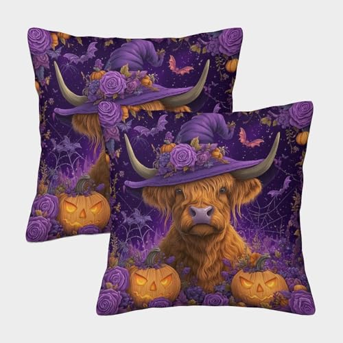 MJFCoin Hochlandrind Kuschelige Kissenbezug 2er Set Für Kinder - Halloween Für Sofa Mit Niedlichen Designs, Perfekt Für Kinderzimmer Waschmaschinenfest 45x45cm MJFCoin Hochlandrind Kuschelige Kissenbezug 2er Set Für Kinder - Halloween Für Sofa Mit Niedlichen Designs, Perfekt Für Kinderzimmer Waschmaschinenfest 45x45cm von MJFCoin