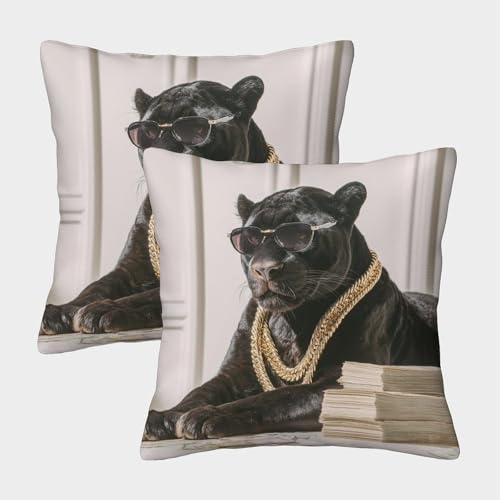 Panther Kuschelige Kissenbezug 2er Set Für Kinder - Leopard Dekorative Bezüge Für Sofa - Mit Reißverschluss, Geeignet Für Jungen Und Mädchen 45x45cm von MJFCoin