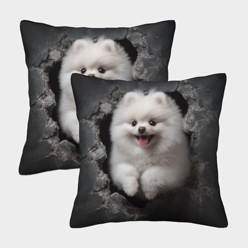Pommern Kuschelige Kissenbezug 2er Set Für Kinder - Pom Dekorative Bezüge Für Sofa - Mit Reißverschluss, Geeignet Für Jungen Und Mädchen 40x40cm von MJFCoin