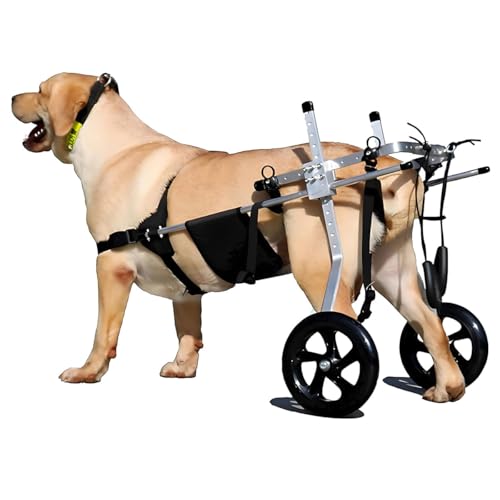 MJHETCY Zwei Räder Haustier Rollstuhl Behinderte Hund unterstützte Hinterbein-Sportwagen Für Haustiere innerhalb von 50kg Hunde Körperbehinderter(Size:XXL（25-45kg）) von MJHETCY