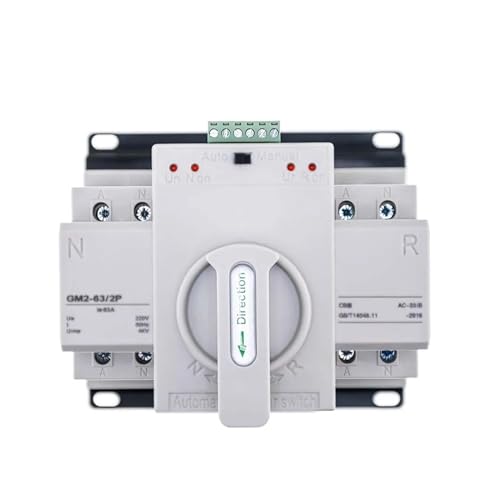 MJMLUCK 2P/3P/4P 40A 63A 100A Dual Power Automatischer Transferschalter AC230V 50/60Hz MCB Automatische/Manuelle Schaltleistungsschalter (Größe: 2P, Farbe: 220V-100A) (220v32a 2P) von MJMLUCK