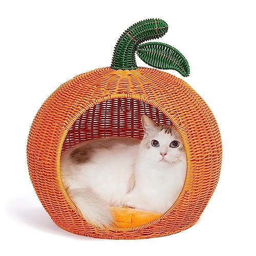 MJMLUCK Katzen- und Hundebett aus Rattan, nachhaltige Katzenhöhle, kleines Hundehaus, bequemes Kätzchenbett, süßes Haustierbett mit maschinenwaschbarem Nestkissen MJMLUCK Katzen- und Hundebett aus Rattan, nachhaltige Katzenhöhle, kleines Hundehaus, bequemes Kätzchenbett, süßes Haustierbett mit maschinenwaschbarem Nestkissen von MJMLUCK