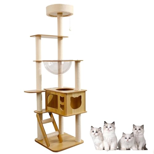 MJMLUCK Moderner Katzenbaum mit Acrylkuppel, Katzenbaum aus Holz ohne Teppich, mehrstöckiger Katzenturm aus Holz mit großem Katzenhaus, Sitzstange mit runder Oberseite, Kratzbaum von MJMLUCK