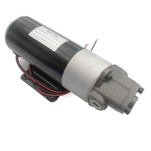 DC12V Ölpumpenmotor Dieselölpumpe Elektrische Hydraulikpumpe Kleine DC-Ölpumpe Mikrozahnradpumpe Getriebeölpumpe Öler Elektro-, Garten- und Handwerkzeuge(ROP-10A,220) von MKHFP