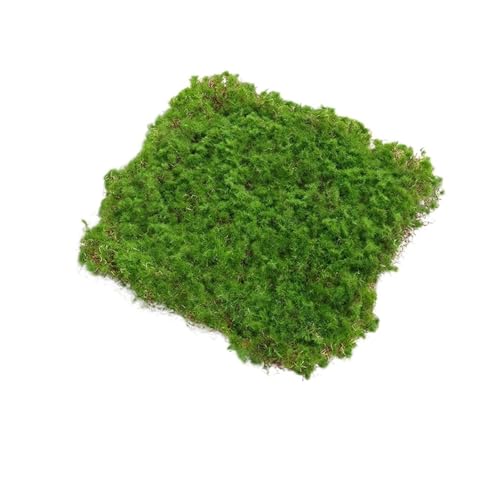 MKLHAVB 20/30 cm Kunstrasen Moos Grünland Gefälschte Gras Rasen Teppich Kunstrasen Outdoor Gras Matte Moos Teppich Im Freien Garten Dekor(20 * 20cm) von MKLHAVB