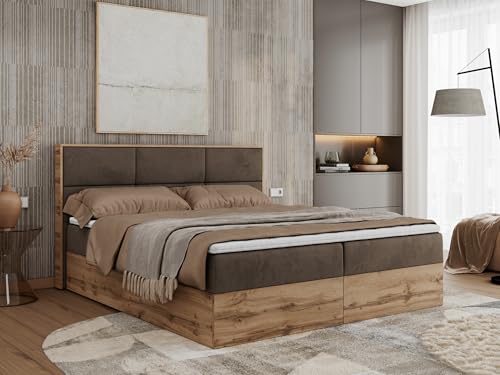 MKS MEBLE Boxspringbett 160x200 mit Bettkasten Holz Holzrahmen, Boxbett 160x200 mit Matratze H4 und Kopfteil - Braun Velvet - Albero-2 von MKS MEBLE