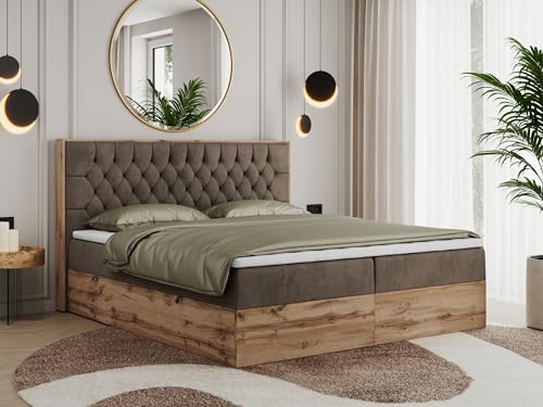 MKS MEBLE Boxspringbett 180x200 mit Bettkasten Eiche, Polsterbett 180x200 mit Matratze H3, Bett 180x200 mit Kopfteil, Bett mit Holzrahmen in Wotan Eiche - Braun Velvet - Amore MKS MEBLE Boxspringbett 180x200 mit Bettkasten Eiche, Polsterbett 180x200 mit Matratze H3, Bett 180x200 mit Kopfteil, Bett mit Holzrahmen in Wotan Eiche - Braun Velvet - Amore von MKS MEBLE