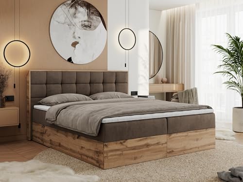 MKS MEBLE Boxspringbett 200x200 mit Bettkasten Holz Holzrahmen, Boxbett 200x200 mit Matratze H3 und Kopfteil - Braun Velvet - Albero-1 MKS MEBLE Boxspringbett 200x200 mit Bettkasten Holz Holzrahmen, Boxbett 200x200 mit Matratze H3 und Kopfteil - Braun Velvet - Albero-1 von MKS MEBLE