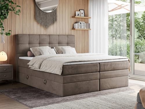 MKS MEBLE Boxspringbett 200x200 mit Bettkasten und Matratze H4 - Boxbett - H4 Braun Velvet - ERNI King von MKS MEBLE