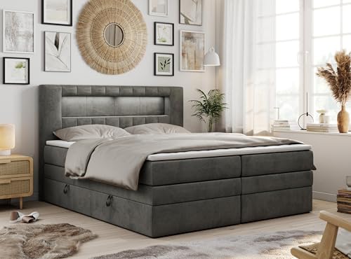 MKS MEBLE Boxspringbett 200x200 mit Led Samt Grau, Polsterbett mit LED Kopfteil, Multipocket Matratze H3, Doppelbett mit Bettkasten Stauraumbett - GOLD-5-KING - Velvet Dunkelgrau MKS MEBLE Boxspringbett 200x200 mit Led Samt Grau, Polsterbett mit LED Kopfteil, Multipocket Matratze H3, Doppelbett mit Bettkasten Stauraumbett - GOLD-5-KING - Velvet Dunkelgrau von MKS MEBLE