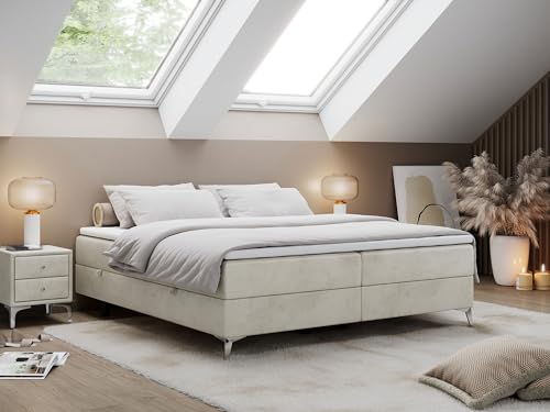 MKS MEBLE Boxspringbett 200x200 Mit Bettkasten, Niedriges Kopfteil - Less - Beige Velvet - H4 MKS MEBLE Boxspringbett 200x200 Mit Bettkasten, Niedriges Kopfteil - Less - Beige Velvet - H4 von MKS MEBLE