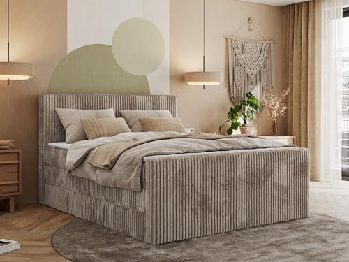 MKS MEBLE Boxspringbett Cord 200x200, Polsterbett Bett Cord, Boxspringbett mit Matratze H3,Bett mit Bettkasten and Kopfteil, Doppelbett mit Stauraum - Tiliano King Duo - Hellbraun Cord - H3 MKS MEBLE Boxspringbett Cord 200x200, Polsterbett Bett Cord, Boxspringbett mit Matratze H3,Bett mit Bettkasten and Kopfteil, Doppelbett mit Stauraum - Tiliano King Duo - Hellbraun Cord - H3 von MKS MEBLE