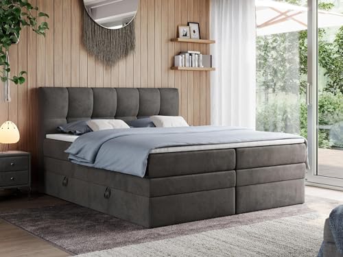 MKS MEBLE King Boxspringbett 140x200, Polsterbett 140x200 mit Bettkasten, Bett 140x200 mit Multipocket-Matratze H3, Boxspringbett 140x200 mit Kopfteil und Topper - H3 Dunkelgrau Velvet - Alvin MKS MEBLE King Boxspringbett 140x200, Polsterbett 140x200 mit Bettkasten, Bett 140x200 mit Multipocket-Matratze H3, Boxspringbett 140x200 mit Kopfteil und Topper - H3 Dunkelgrau Velvet - Alvin von MKS MEBLE