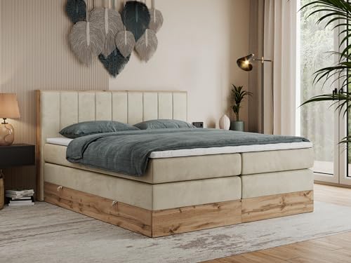 MKS MEBLE King Boxspringbett 180x200 Mit Bettkasten Eiche, Polsterbett Mit Matratze H3, Rahmen in Wotan Eiche und Kopfteil - Beige Velvet - Bellissimo King MKS MEBLE King Boxspringbett 180x200 Mit Bettkasten Eiche, Polsterbett Mit Matratze H3, Rahmen in Wotan Eiche und Kopfteil - Beige Velvet - Bellissimo King von MKS MEBLE
