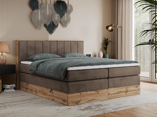 MKS MEBLE King Boxspringbett 200x200 mit Bettkasten Eiche, Polsterbett 200x200 mit Matratze H3, Bett 200x200 mit Rahmen in Wotan Eiche und Kopfteil - Braun Velvet - Bellissimo King von MKS MEBLE