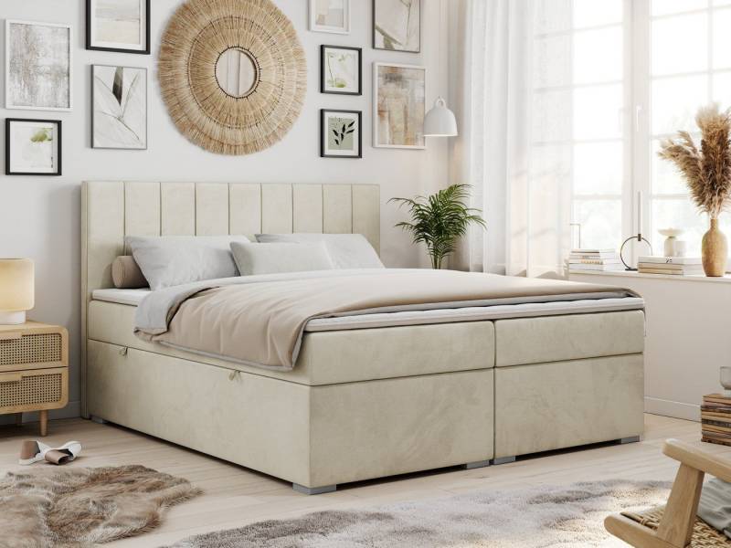 MKS MÖBEL Boxspringbett ALLY (Set, Packung, T30-Schaum, gepolsterte Kopfstütze, Topper T25, 7 Härtezonen), Doppelbett mit Multipocket-Matratzen, Praktisch Polsterbett MKS MÖBEL Boxspringbett ALLY (Set, Packung, T30-Schaum, gepolsterte Kopfstütze, Topper T25, 7 Härtezonen), Doppelbett mit Multipocket-Matratzen, Praktisch Polsterbett von MKS MÖBEL