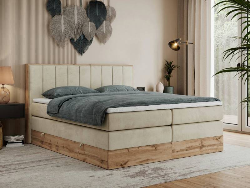 MKS MÖBEL Boxspringbett BELLISSIMO KING (Topper T-25, T30-Schaum, Möbelplatten, Kopfteil), Multipocket Matratzen, Rahmen des Bettes in Eichen-Optik, Bettkästen von MKS MÖBEL
