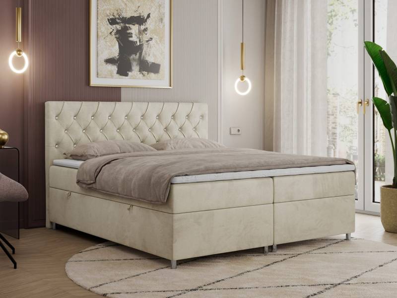 MKS MÖBEL Boxspringbett ROMA (Set, Packung, T30-Schaum, 7 Härtezonen, Kopfteil mit Knöpfen, H3-Matratze), mit Bettkasten, Doppelbett mit Multipocket-Matratzen und Topper von MKS MÖBEL