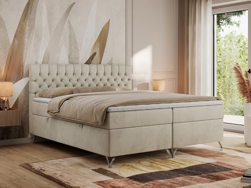 MKS MEBLE Boxspringbett 200x200, Bett mit Matratze H3, Boxspringbett mit Bettkasten und Topper, Polsterbett mit Füße - GRIMALDI - 200x200 - Beige Velvet - H3 MKS MEBLE Boxspringbett 200x200, Bett mit Matratze H3, Boxspringbett mit Bettkasten und Topper, Polsterbett mit Füße - GRIMALDI - 200x200 - Beige Velvet - H3 von MKS MEBLE