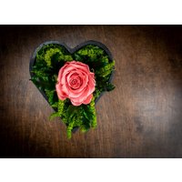 Koralle Konservierte Rose Dekor Herz Blumengesteck Koralle Konservierte Rose Dekor Herz Blumengesteck von MKendraWedding