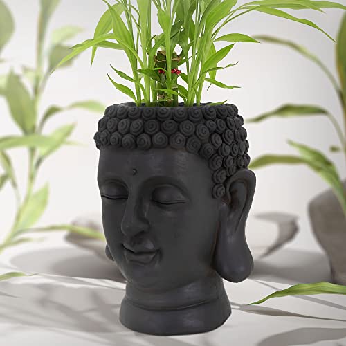 ML-Design Pflanztopf Buddha Figur Kopf 19x20x34 cm, Anthrazit, Harz, Innen- und Außenstatue, massiv, Groß Büste Skulptur, Pflanzgefäß Blumentopf Übertopf Gesicht Pflanzer Gartendeko Pflanzen Vase Urne von ML DESIGN modern living