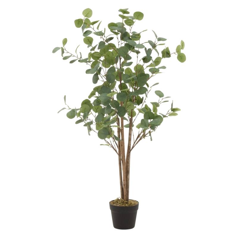 ML-Design Künstliche Eukalyptus 120cm Groß Kunstpflanze Naturholzstamm von ML-Design