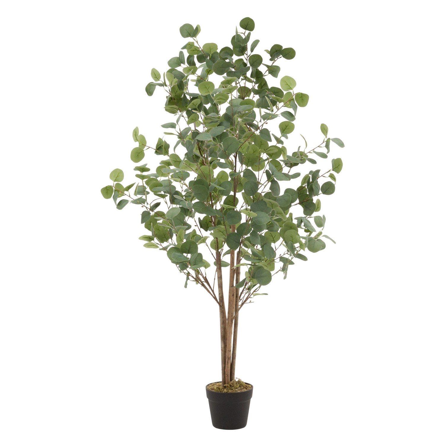 ML-Design Künstliche Eukalyptus 150cm Groß Kunstpflanze Naturholzstamm ML-Design Künstliche Eukalyptus 150cm Groß Kunstpflanze Naturholzstamm von ML-Design