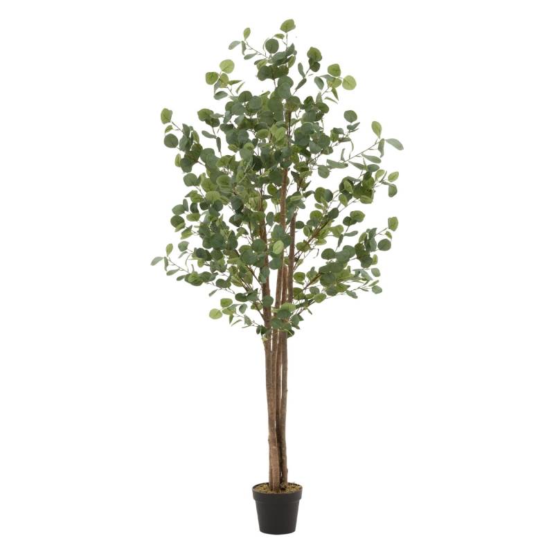 ML-Design Künstliche Eukalyptus 180cm Groß Kunstpflanze Naturholzstamm von ML-Design