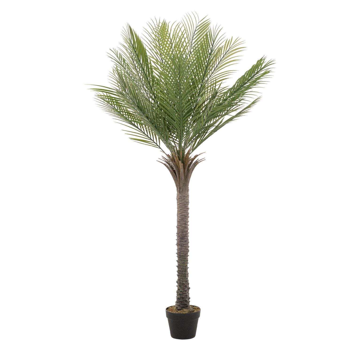 ML-Design Künstliche Palme 150 cm Groß Tropische Kunstpalme im Topf von ML-Design