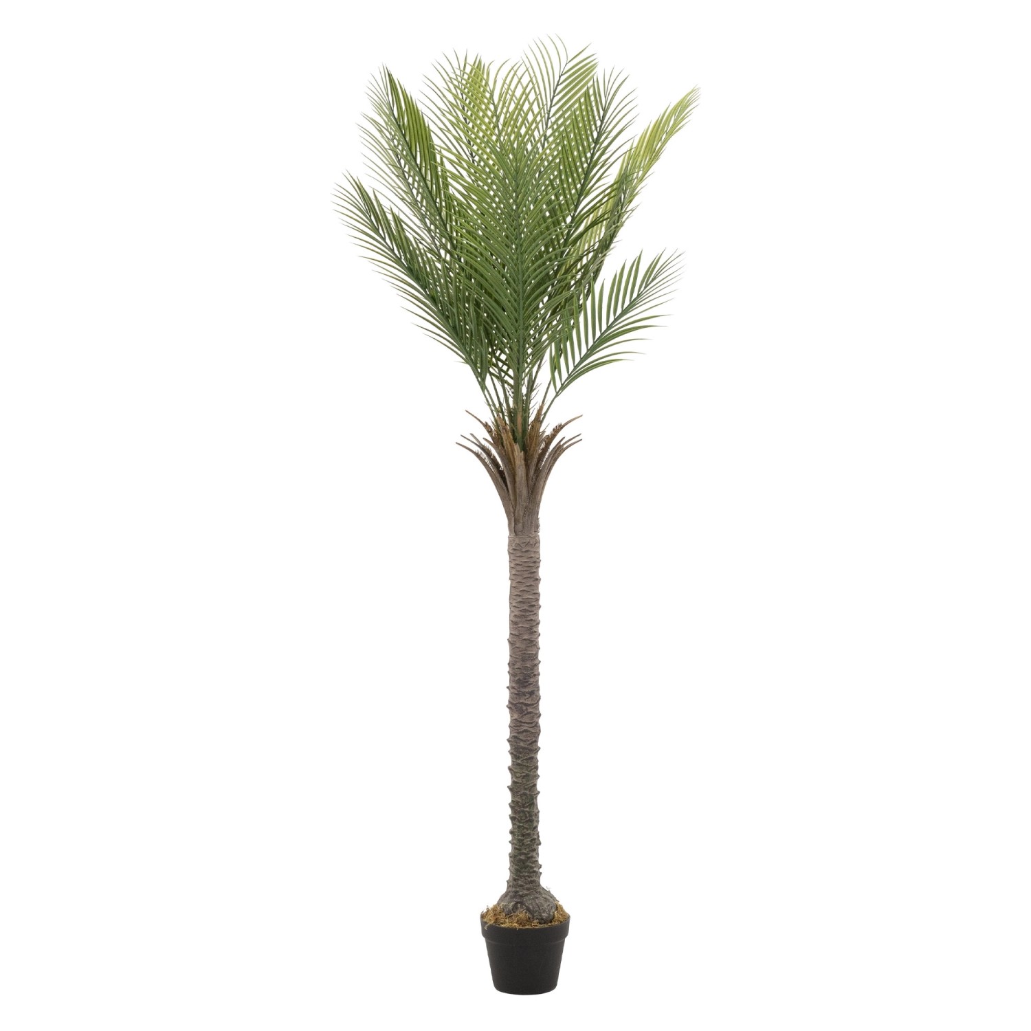 ML-Design Künstliche Palme 180 cm Groß Tropische Kunstpalme im Topf von ML-Design