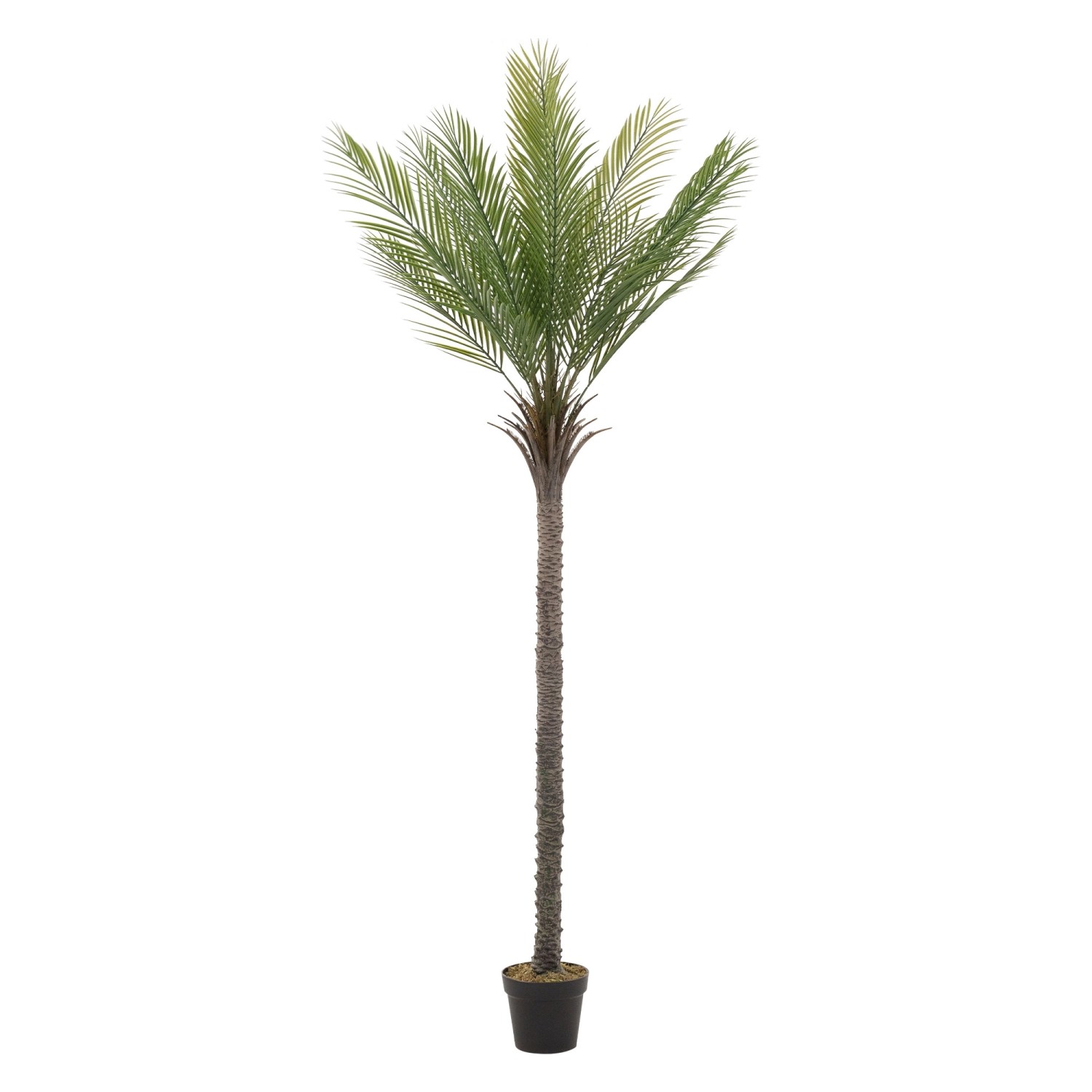 ML-Design Künstliche Palme 210 cm Groß Tropische Kunstpalme im Topf von ML-Design