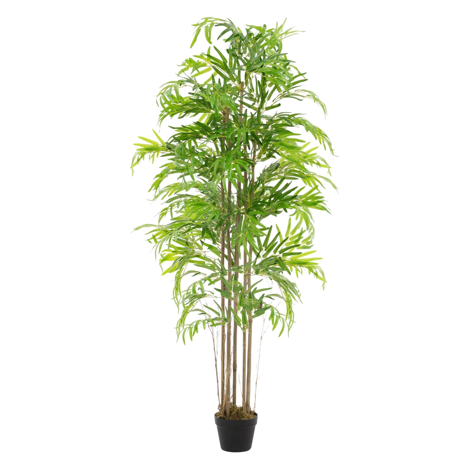 ML-Design Künstlicher Bambus 180cm Groß Kunstpflanze mit Echtholzstamm ML-Design Künstlicher Bambus 180cm Groß Kunstpflanze mit Echtholzstamm von ML-Design