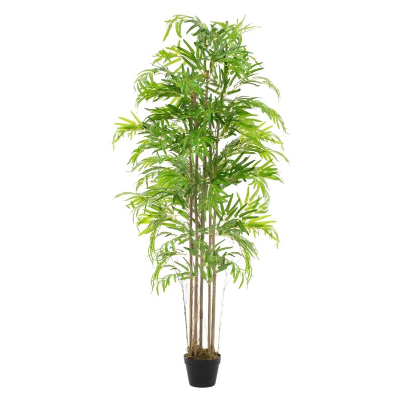 ML-Design Künstlicher Bambus 180cm Groß Kunstpflanze mit Echtholzstamm von ML-Design