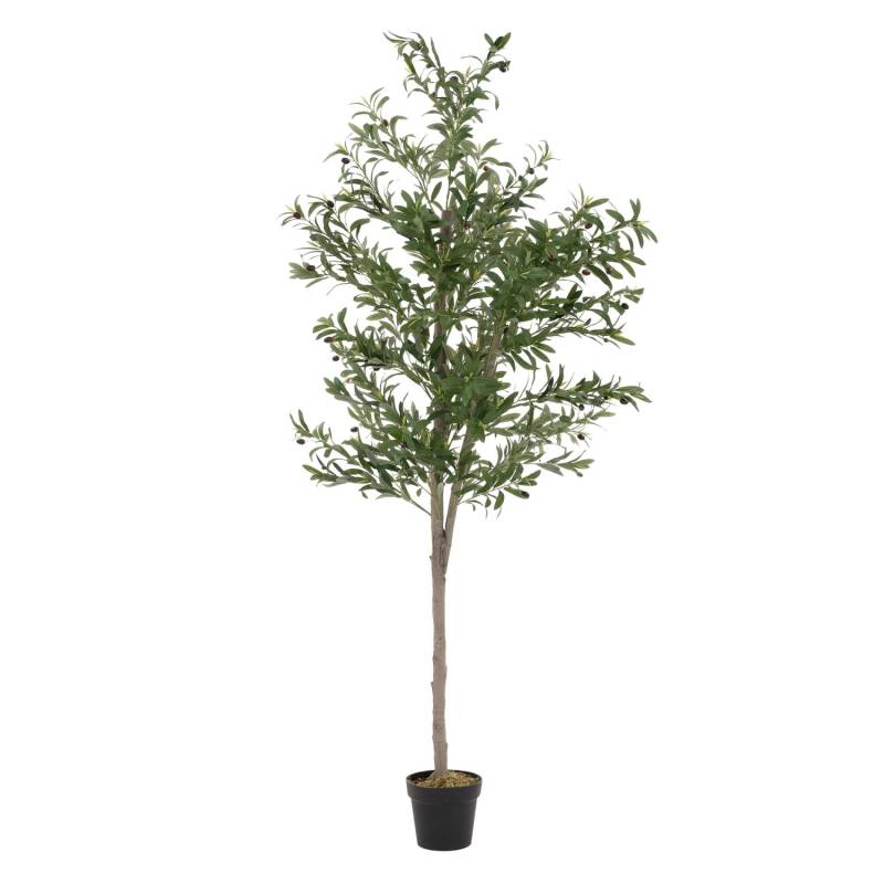 ML-Design Künstlicher Olivenbaum im Topf 210cm Groß mit Naturholzstamm von ML-Design