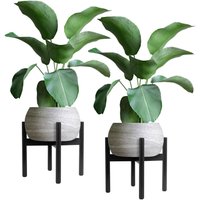 ML-Design | 2er-Set Pflanzentöpfe Wally von ML-Design