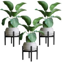 ML-Design | 3er-Set Pflanzentöpfe Wally von ML-Design