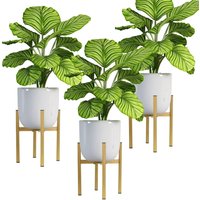 ML-Design | 3er-Set Pflanzentöpfe Terrance von ML-Design