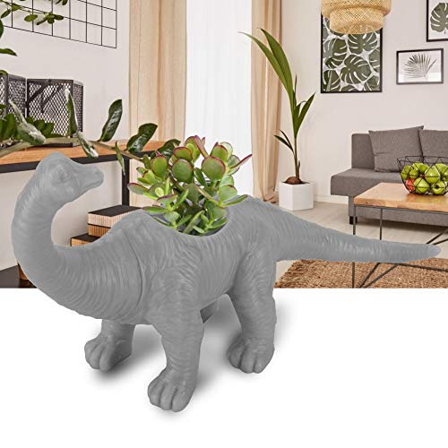 MLMLH Dino Blumentopf übertopf Dinosaurier - Personality Tierblumentopf Kaktus Sukkulenten Garden Desktop Dekoration (Farbe : Grau) von MLMLH