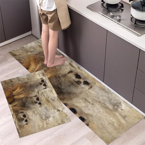 Erdmännchen Küchenteppiche 2er Set - Bequeme und Rutschfestes Küchenmatten Waschbare Zoo Matten und Teppiche für Flur, Esszimmer und Eingangsbereich, Braun 44x75cm+44x150cm von MLSOWM