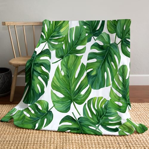 Flanell Fleecedecke Monstera-Blätter Flauschige Kuscheldecken Aquarell Tropische Blätter Leichte Gemütliche Sofadecke Warm Winter Couchdecke, 220x240cm, Grün Flanell Fleecedecke Monstera-Blätter Flauschige Kuscheldecken Aquarell Tropische Blätter Leichte Gemütliche Sofadecke Warm Winter Couchdecke, 220x240cm, Grün von MLSOWM