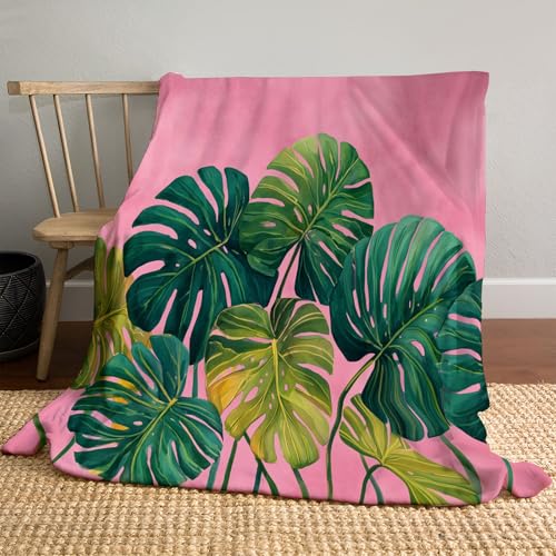 Kuscheldecke Monstera-Blätter Flauschige Sofadecke 130x150cm Flanell Fleecedecke Aquarellillustration Warm und Leicht für Ganzjahreszeit, Rougepuder Kuscheldecke Monstera-Blätter Flauschige Sofadecke 130x150cm Flanell Fleecedecke Aquarellillustration Warm und Leicht für Ganzjahreszeit, Rougepuder von MLSOWM