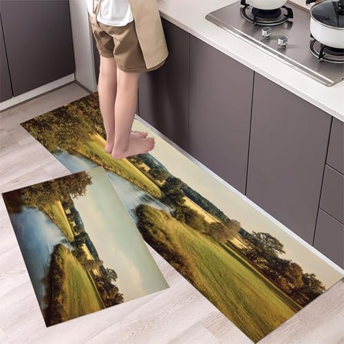 MLSOWM 2 Stück Küchenteppich Waschbar Gewundener Fluss Küchenläufer Ländliche Felder mit Rutschfestem Küche Bodenmatte Absorbierende Läufer Teppich 43x75cm+43x120cm Grasgrün MLSOWM 2 Stück Küchenteppich Waschbar Gewundener Fluss Küchenläufer Ländliche Felder mit Rutschfestem Küche Bodenmatte Absorbierende Läufer Teppich 43x75cm+43x120cm Grasgrün von MLSOWM